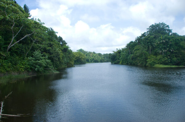 Start a Reservation visual data 7