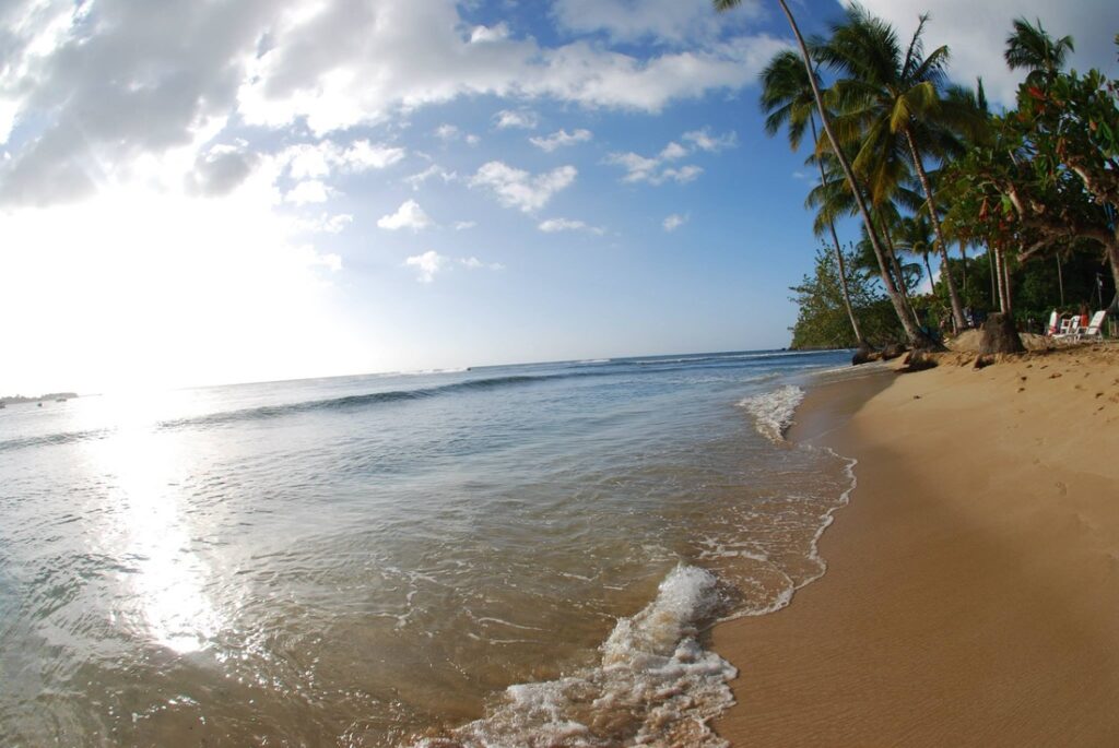 picture of mt. irvine bay in Tobago