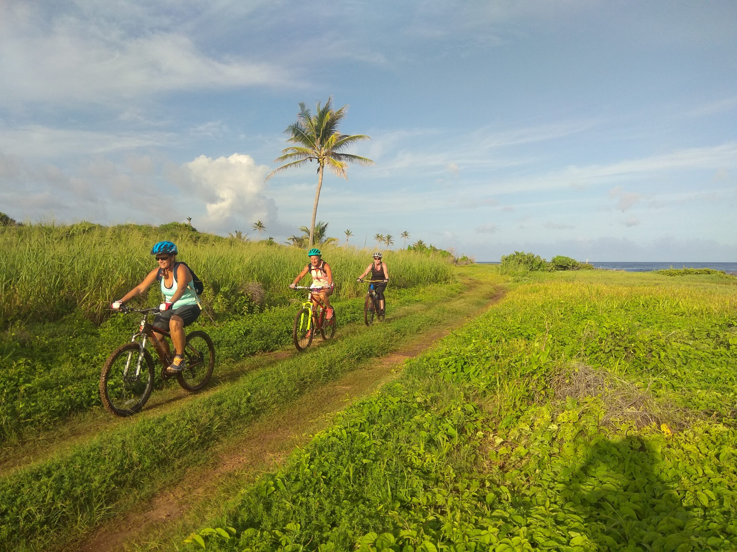 Tobago Mountain Bike Tours
