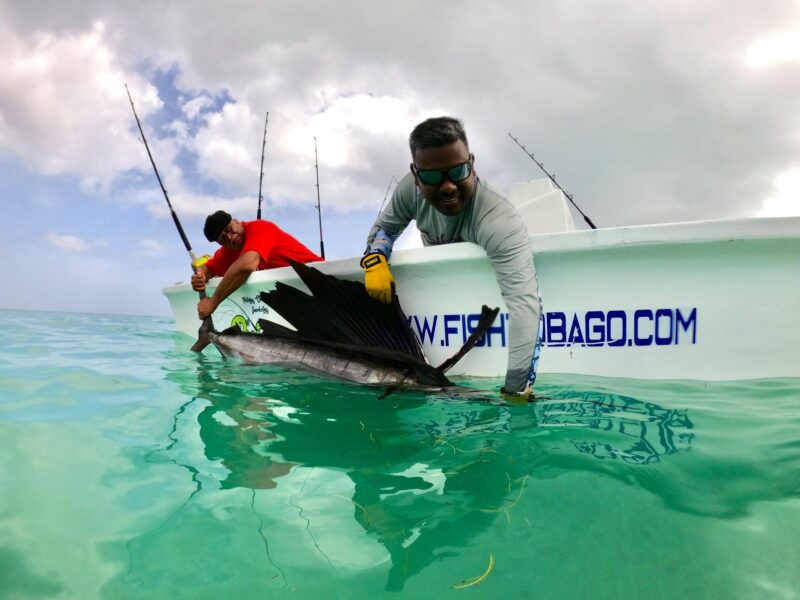 Fish Tobago Tours