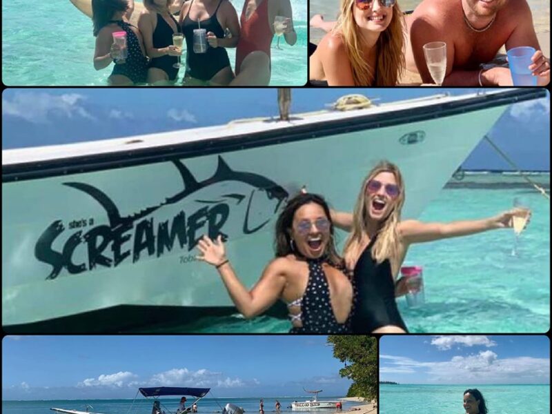 Screamer Boat Tours