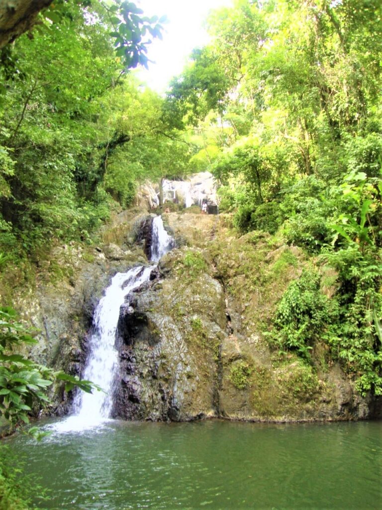 Argyle Waterfall Tobago Guide