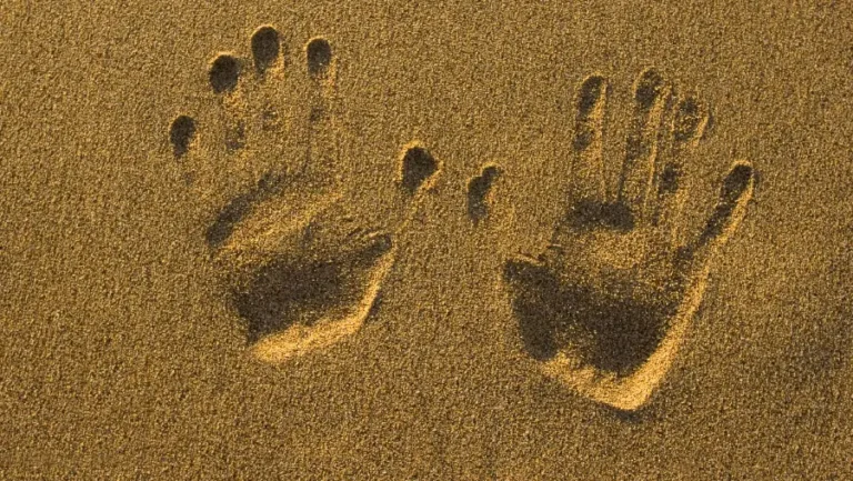 10 Reasons to visit Tobago